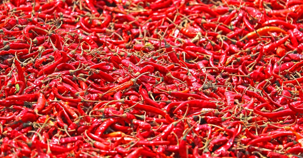 Анализ механики слота Chilli Heat Megaways